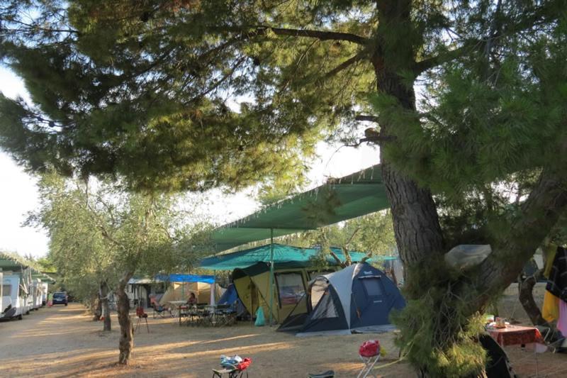 Camping Fontana Delle Rose Mattinata Exteriör bild